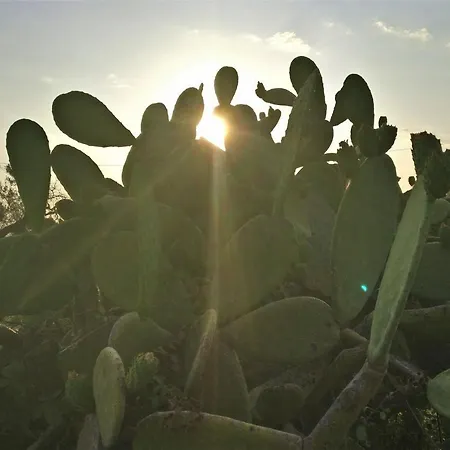 Angeli Nel Salento Hébergement de vacances Otrante