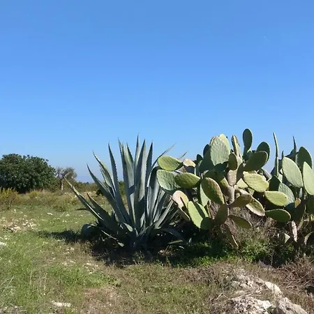 Angeli Nel Salento Hébergement de vacances Otrante