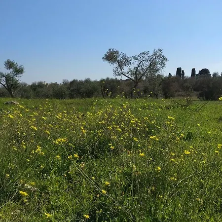 Angeli Nel Salento Otrante