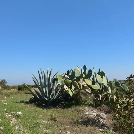 Angeli Nel Salento * Otrante